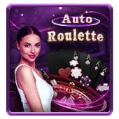 royal558 စလော့ဂိမ်း PG Soft Pragmatic Play Spadegaming Myanmar MMK ကစားနည်း